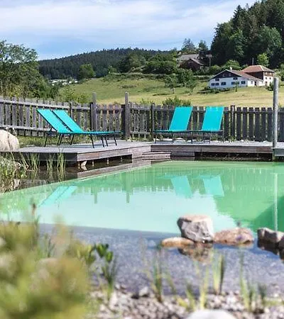 Le Domaine Des Fleurs - La Gentiane * Gerardmer