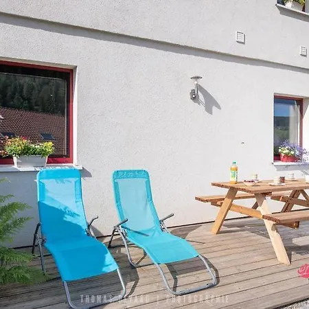 Le Domaine Des Fleurs - La Gentiane Apartment Gerardmer