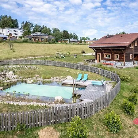 Le Domaine Des Fleurs - La Gentiane Gerardmer
