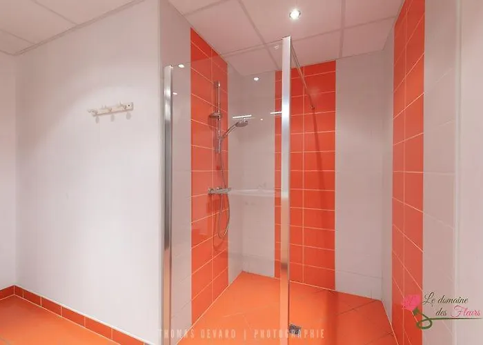 Le Domaine Des Fleurs - La Gentiane Gérardmer