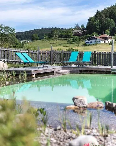 Le Domaine Des Fleurs - La Gentiane * Gérardmer